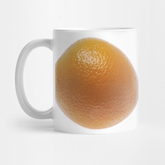 Florida Orange by Bravuramedia